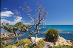 Villa Vera trifamigliare con ingresso diretto 20 mt al mare clima wi-fi bbq